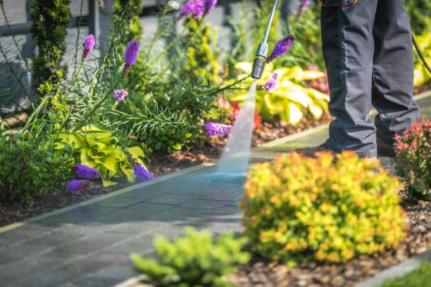 Best Pool Deck Cleaning  in Meridian Hills, IN